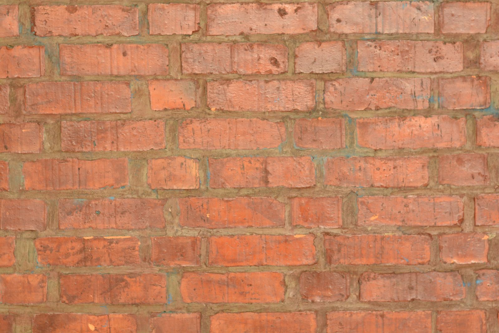 wall